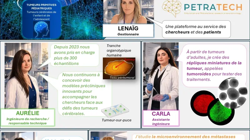 Mission PETRATECHvitro