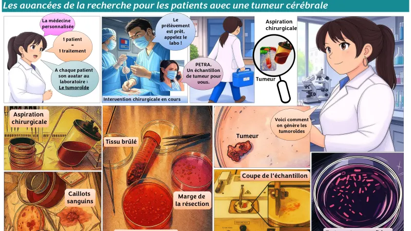 Quand les cellules du cerveau deviennent incontrôlables