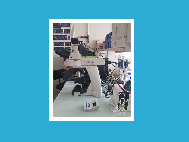 Microscope à fluorescence NIKON pour l'étude des tumeurs des patients