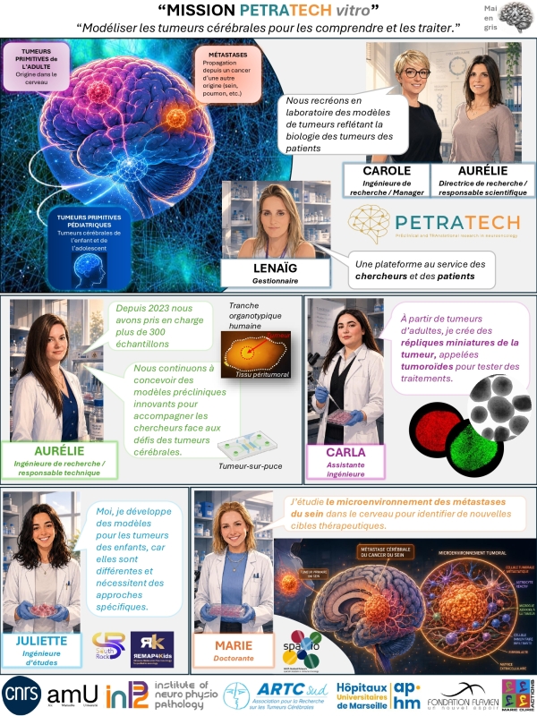 Mission PETRATECHvitro